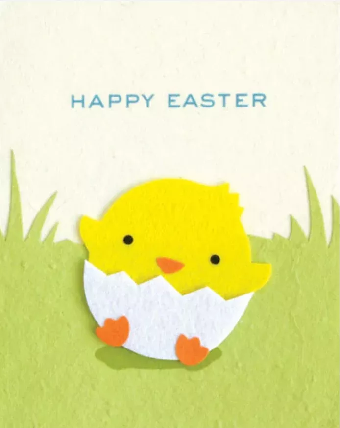 Easter Chick