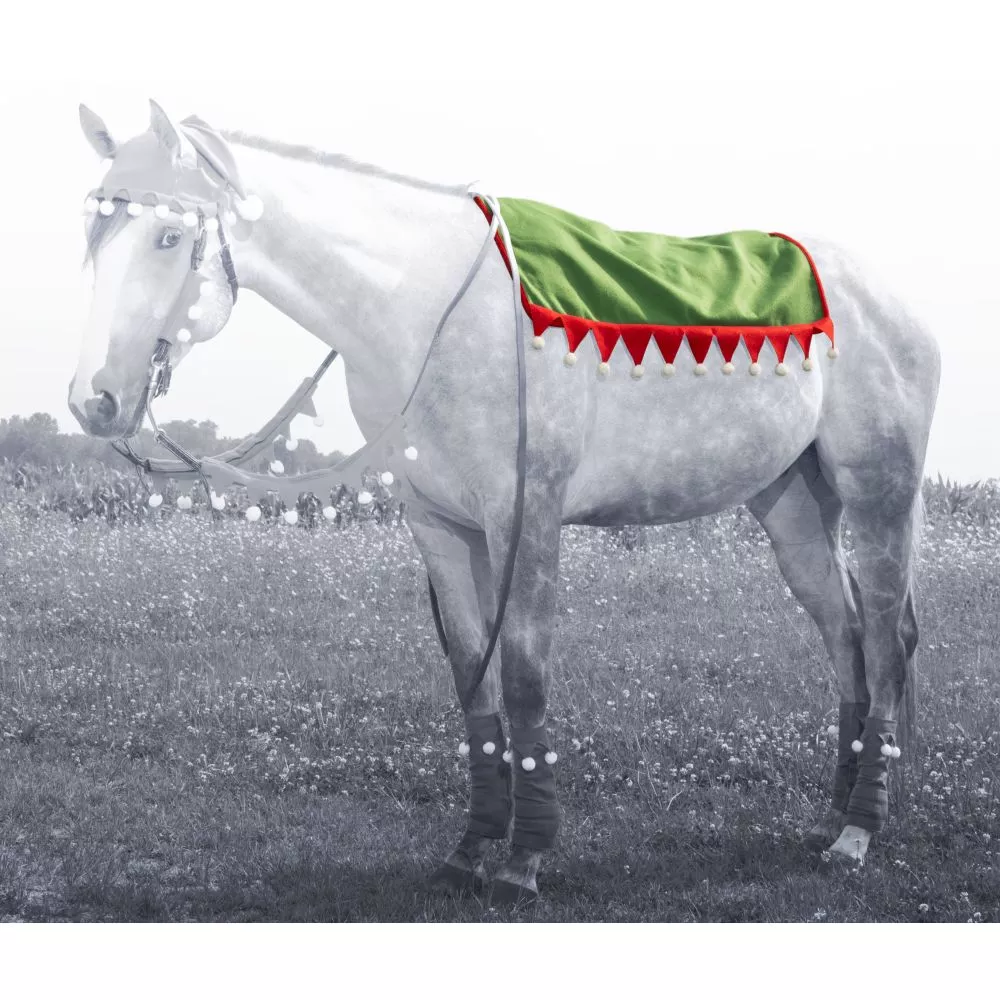 ELF WESTERN PAD COVER