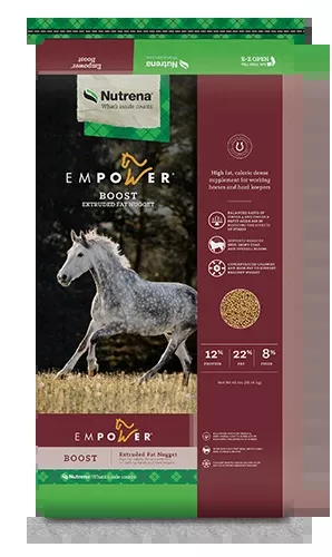 Empower Boost