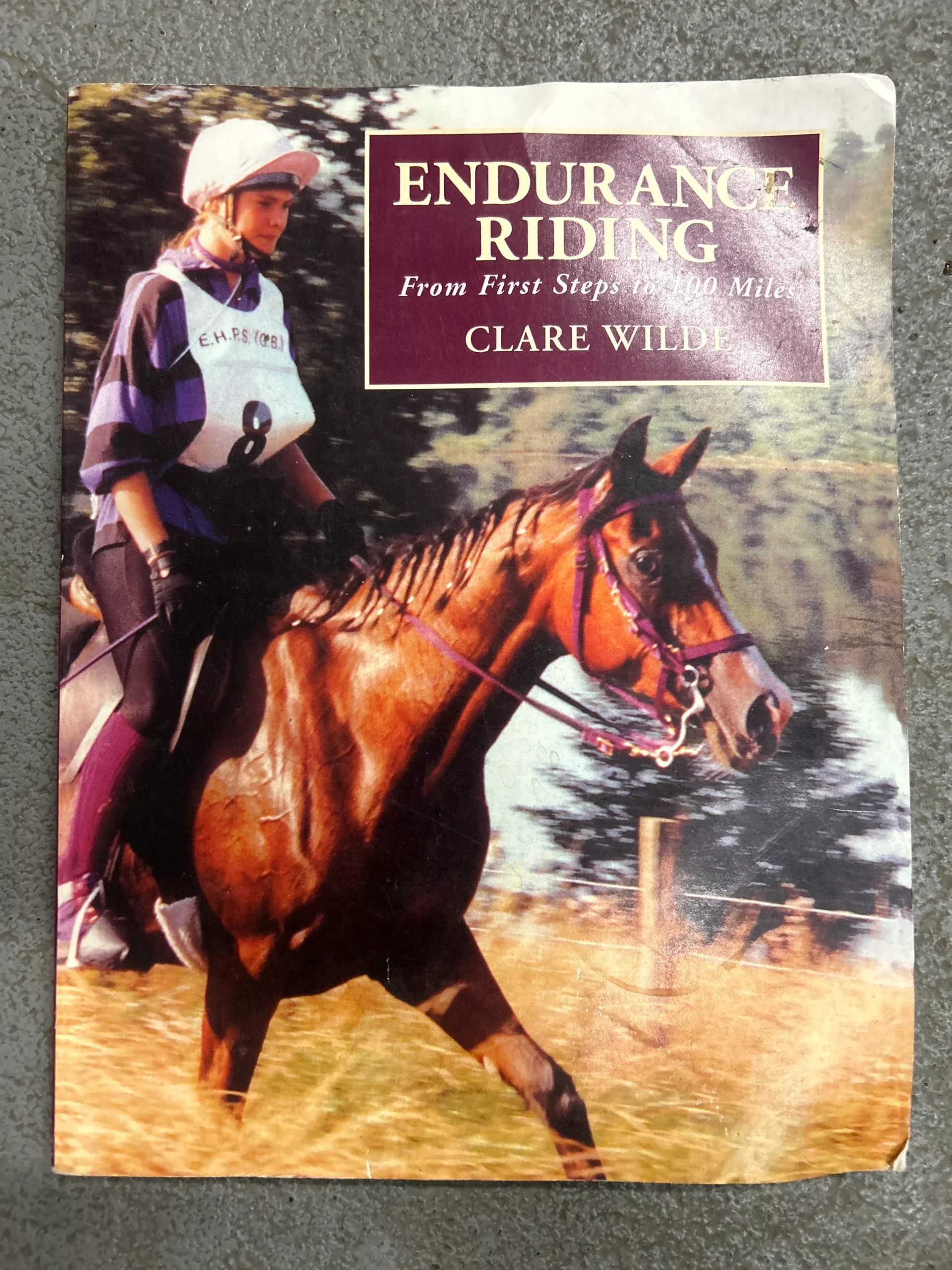 Endurance Riding by Clare Wilde