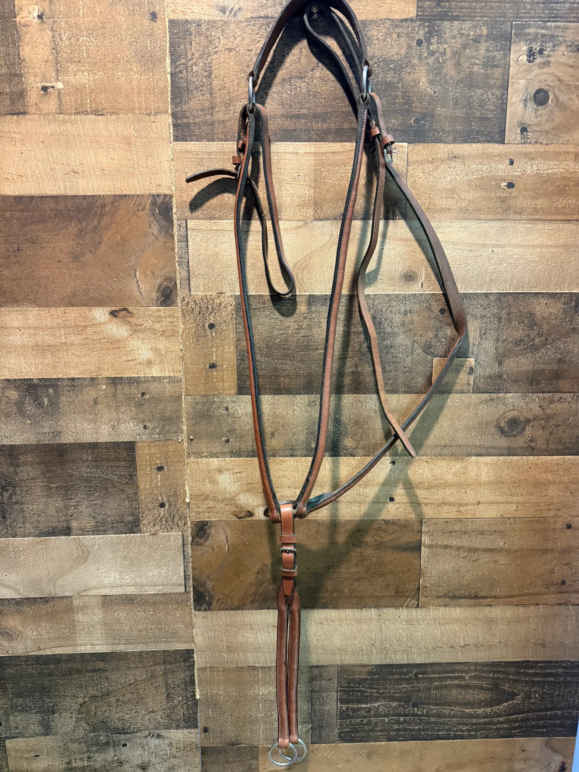 English raised Breastplate with running martingale