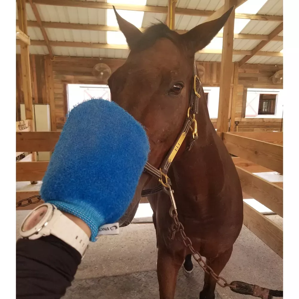 Epona All-Purpose Grooming Mitt