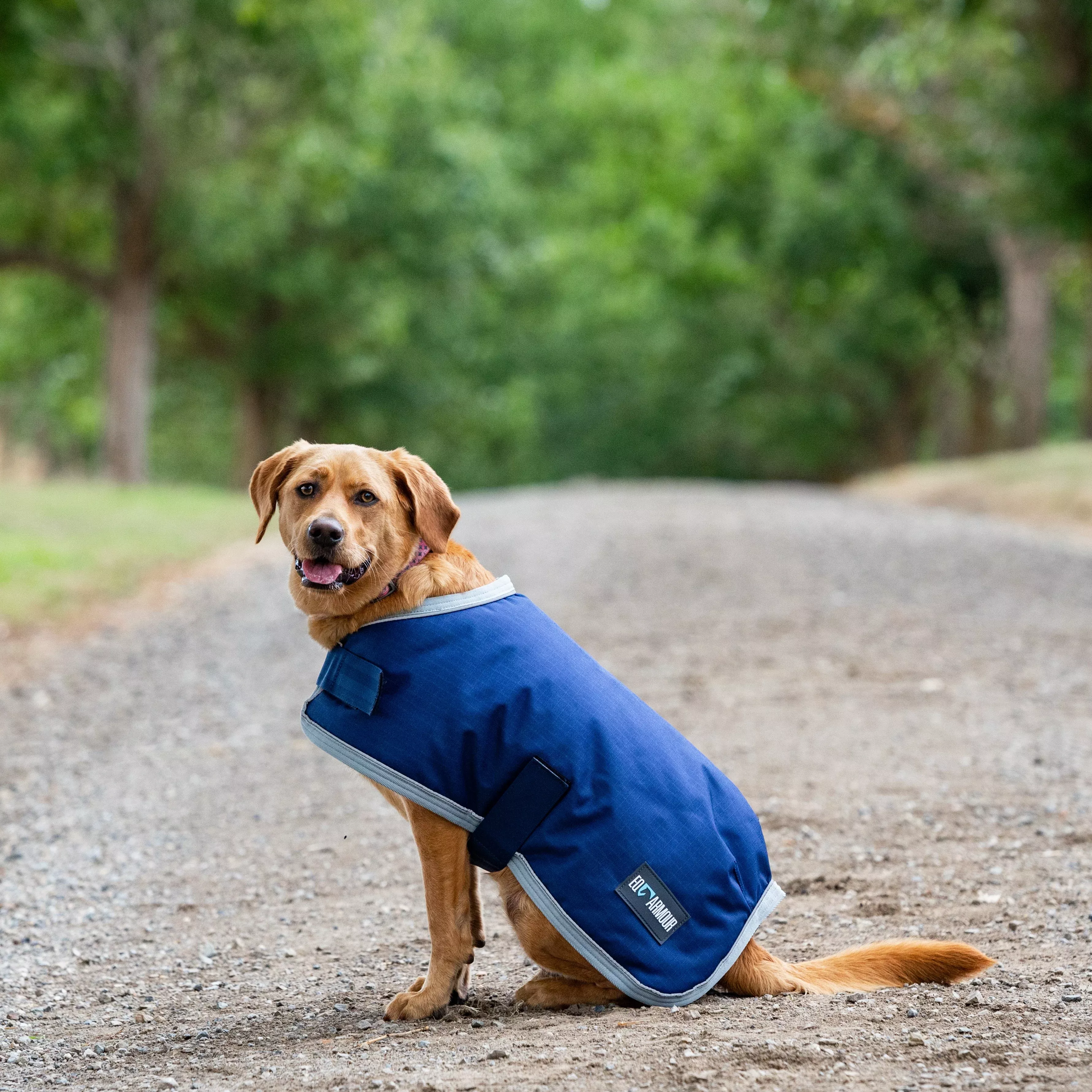 EQ Armour 600D Dog Rug