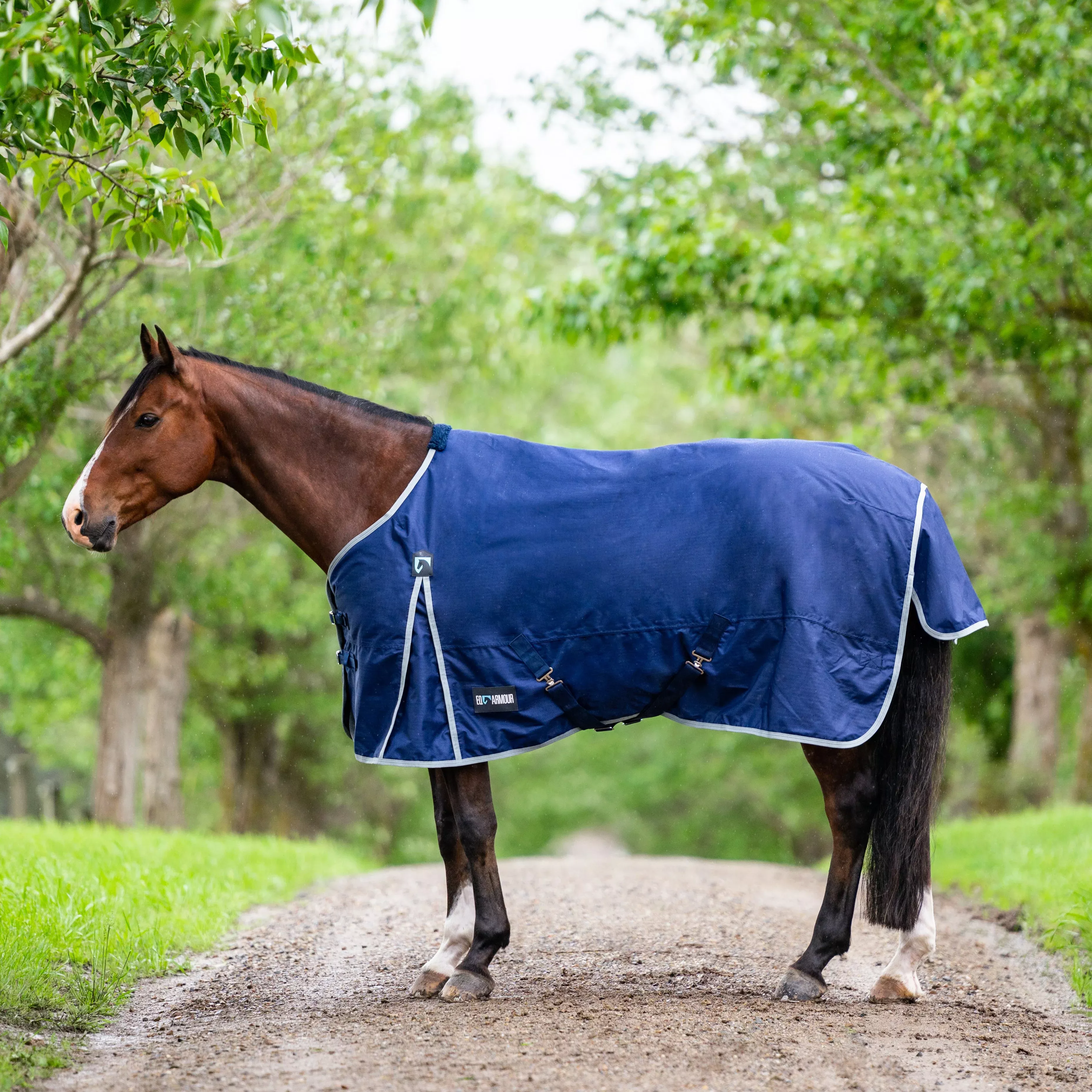 EQ Armour Ascent 600D 180g Rug