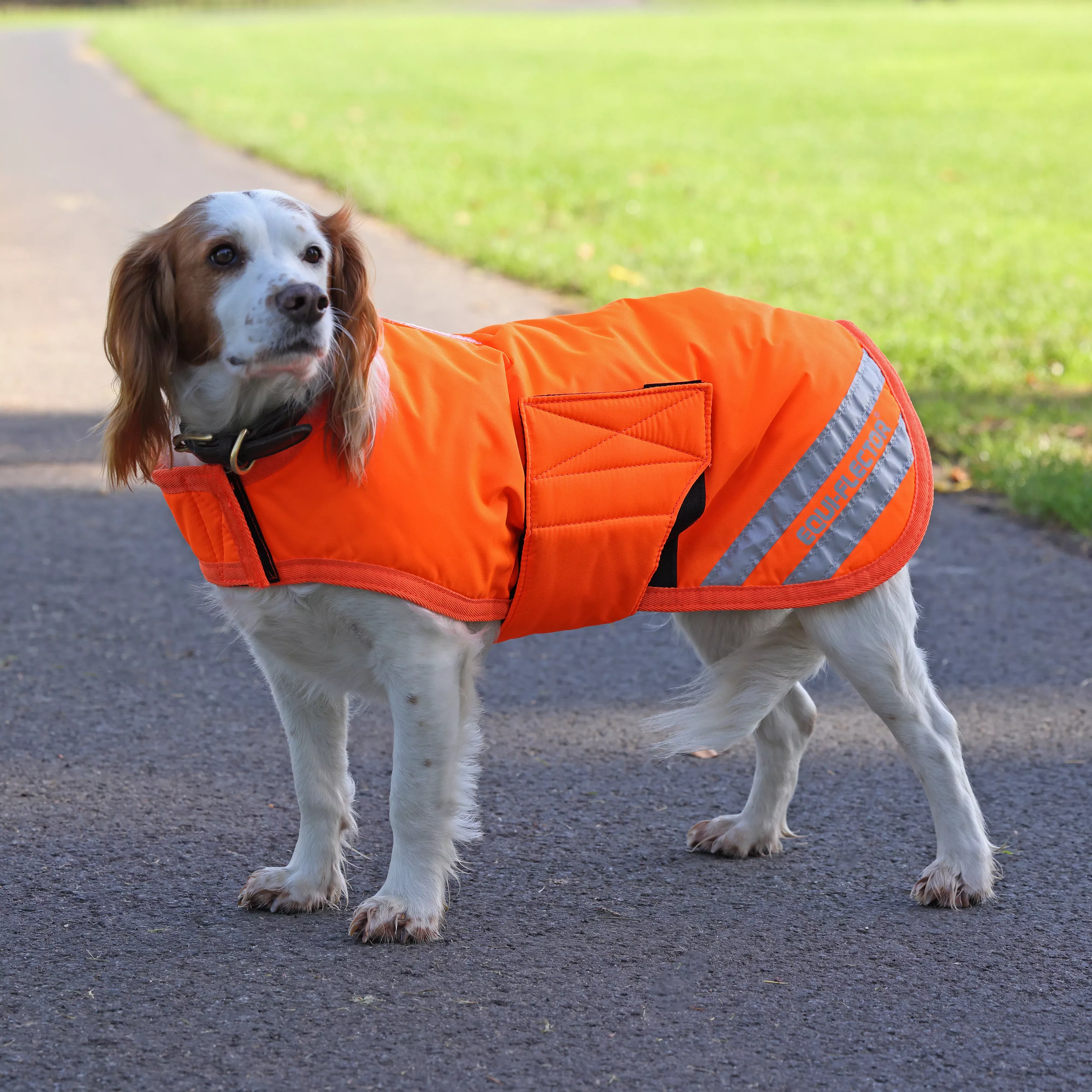 EQUI-FLECTOR Dog Coat