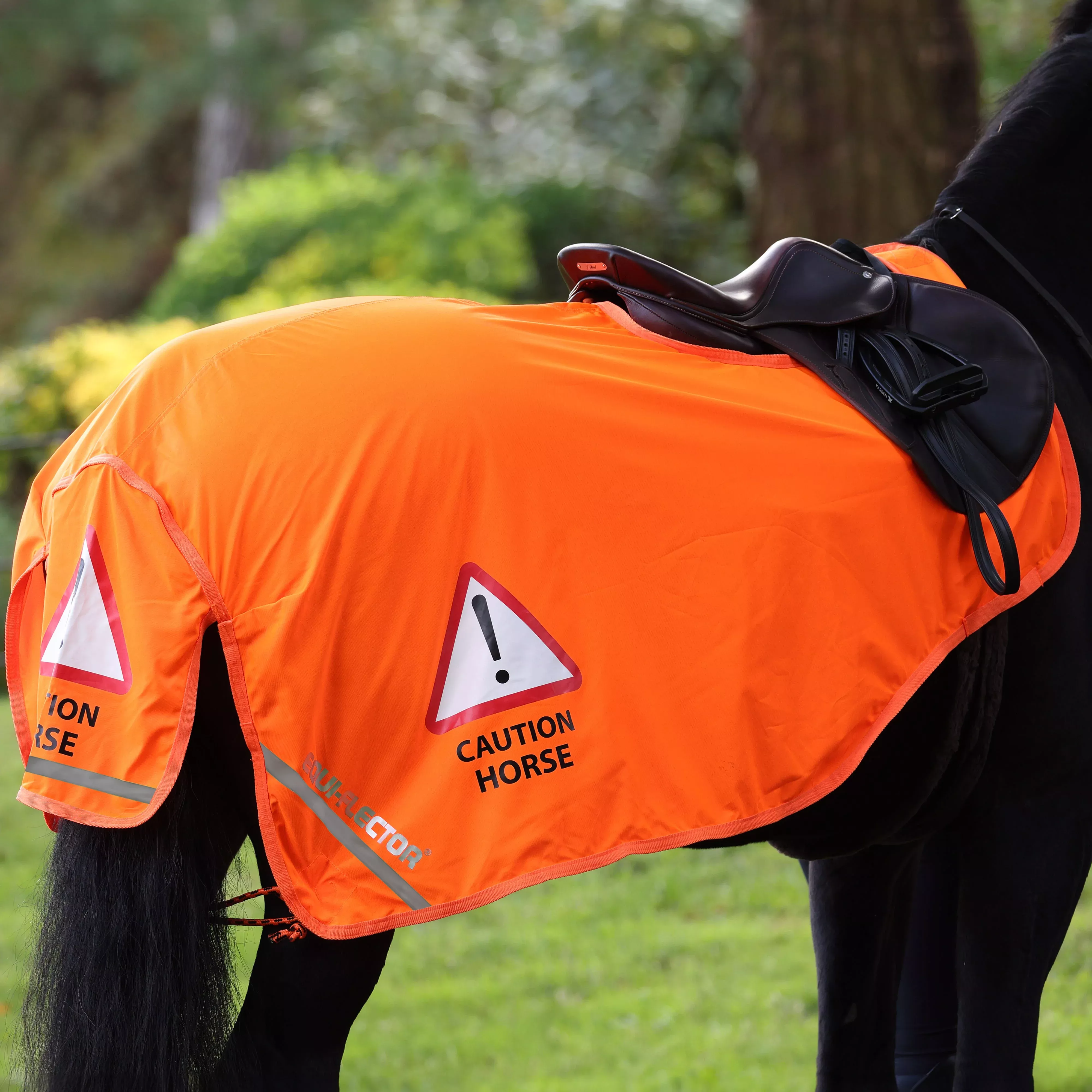 EQUI-FLECTOR Mesh Exercise Sheet