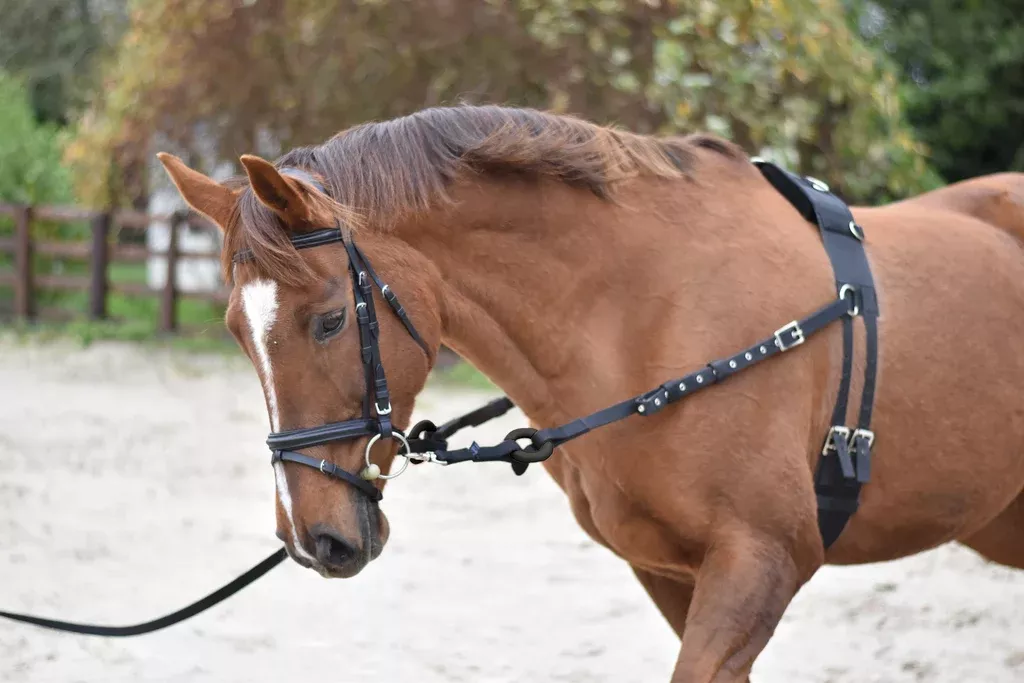 Equi-sential Breaking Set