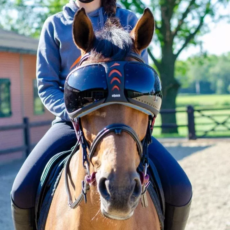 eQuick eVysor - Equine Goggles
