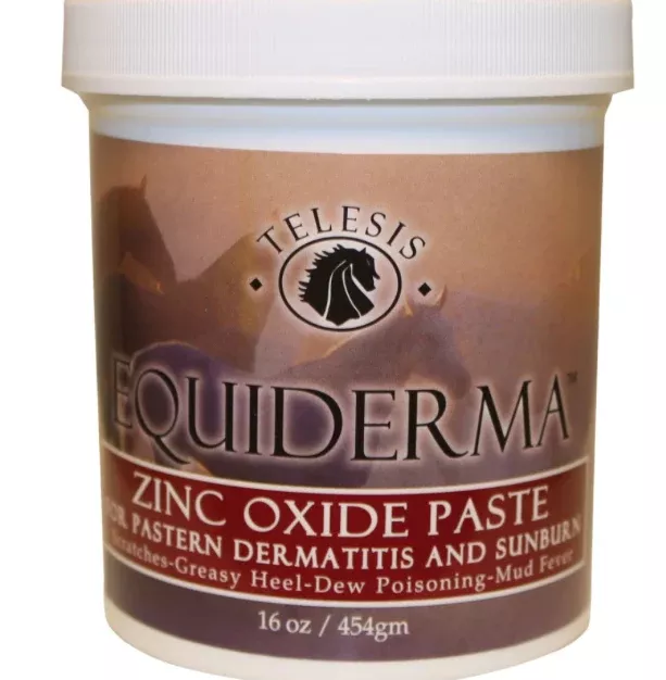 Equiderma Zinc Oxide Paste for Dermatitis & Sunbrn