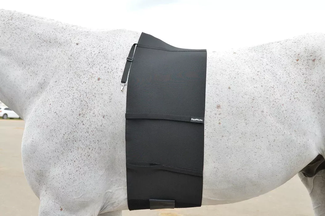 Equifit Belly Band Oversize