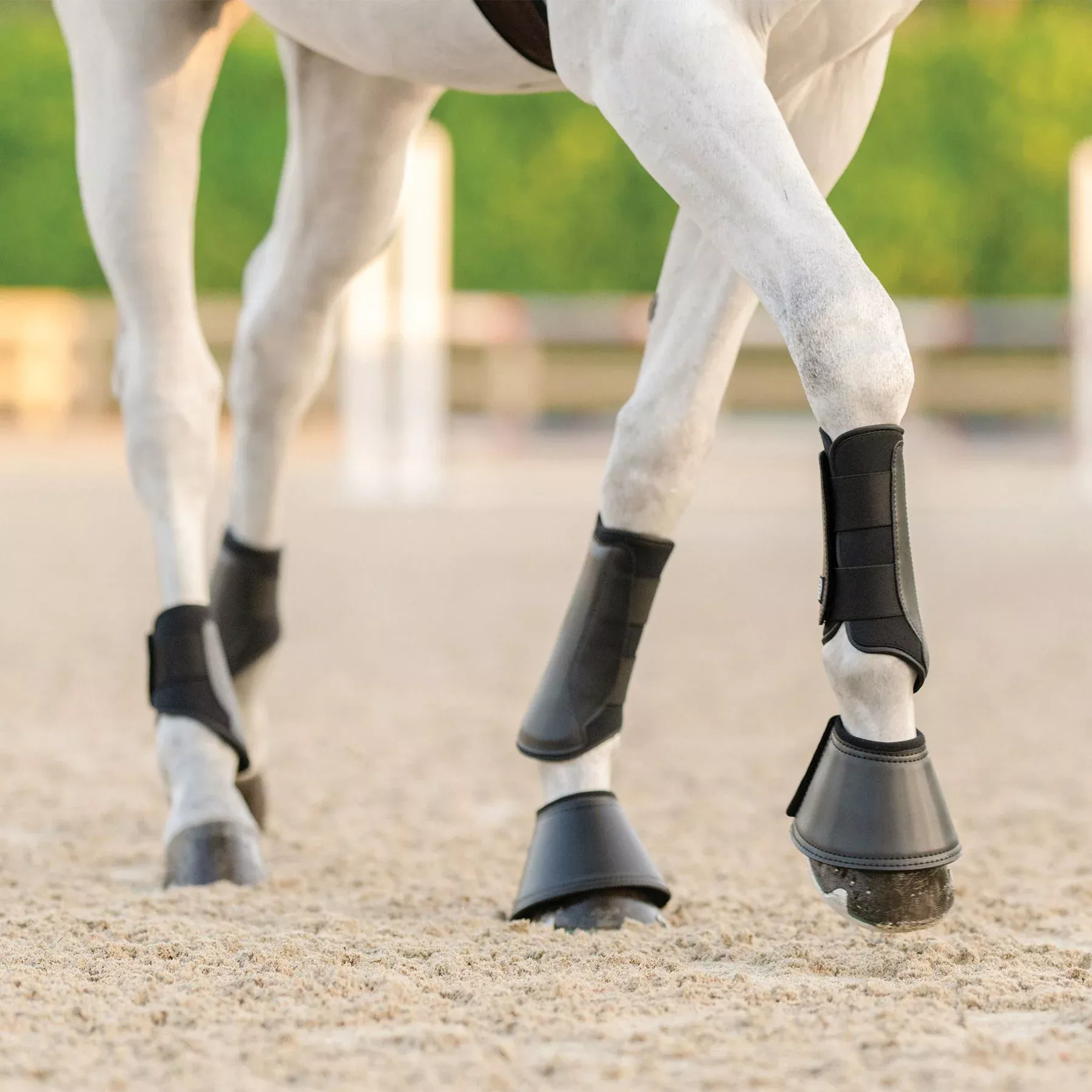EquiFit Essential Everyday Front Boots