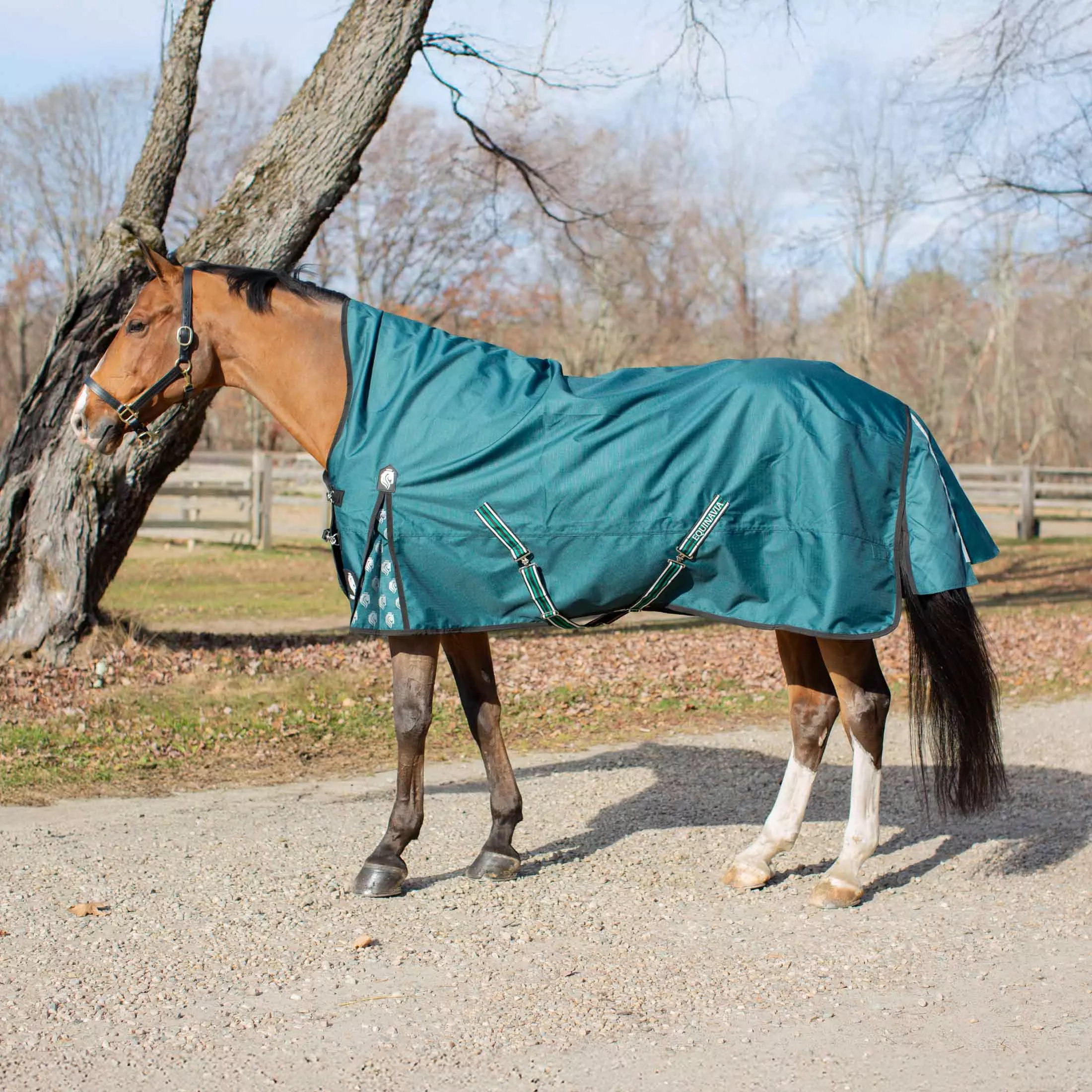 Equinavia Arktis Extended Neck Mid Weight Turnout Blanket 200g - Deep Green