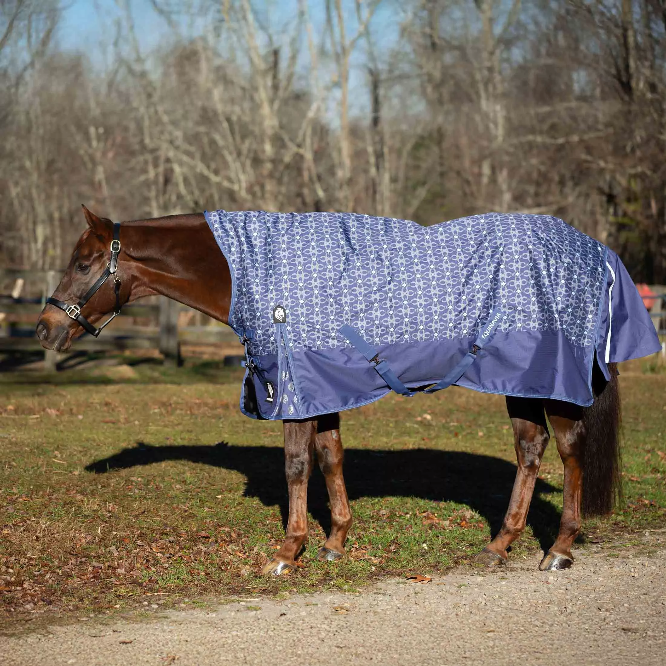 Equinavia Arktis Extended Neck Turnout Sheet - Skipper Blue