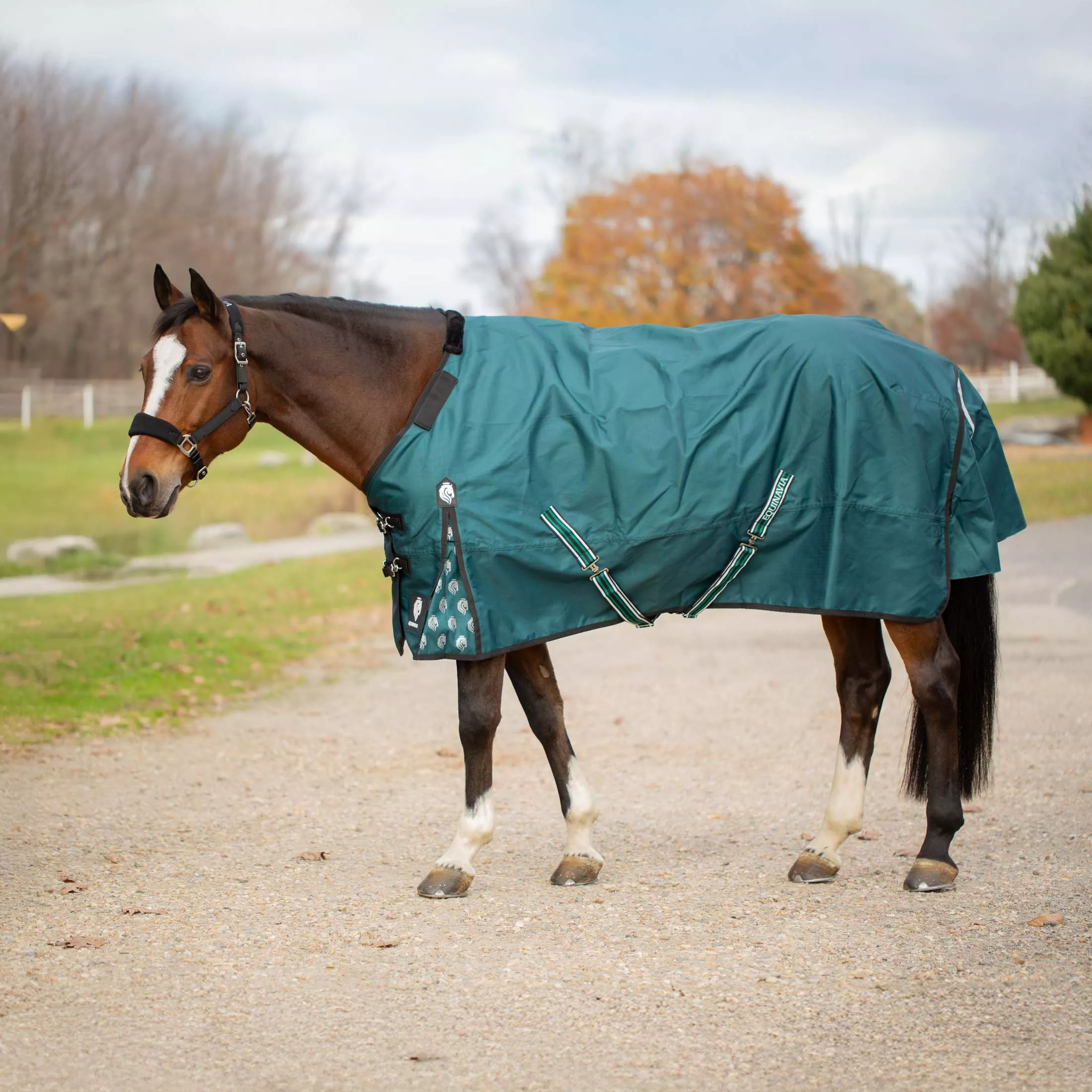 Equinavia Arktis Regular Neck Light Weight Turnout Blanket 100g - Deep Green