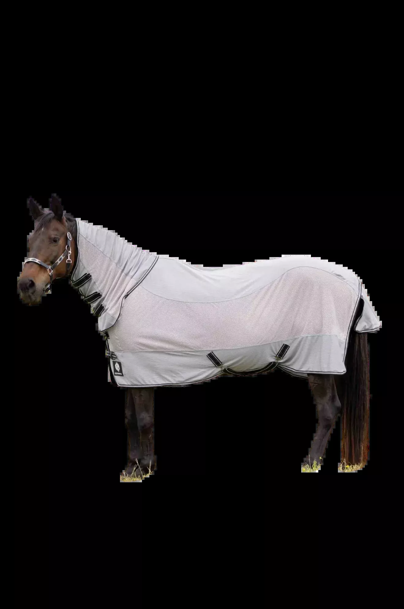 Equinavia Chill Summer Protector Sheet