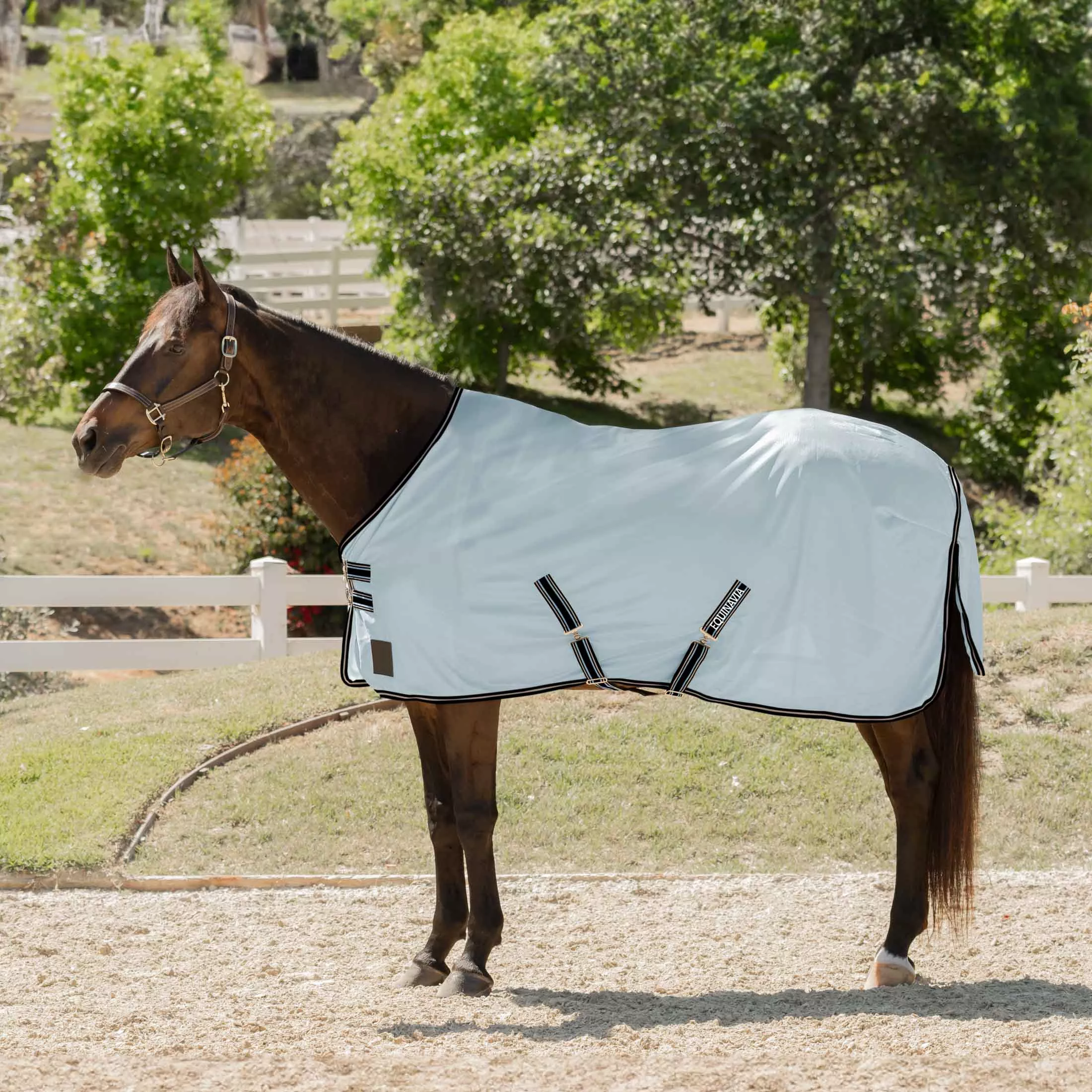 Equinavia Gard Fly Sheet Light Blue