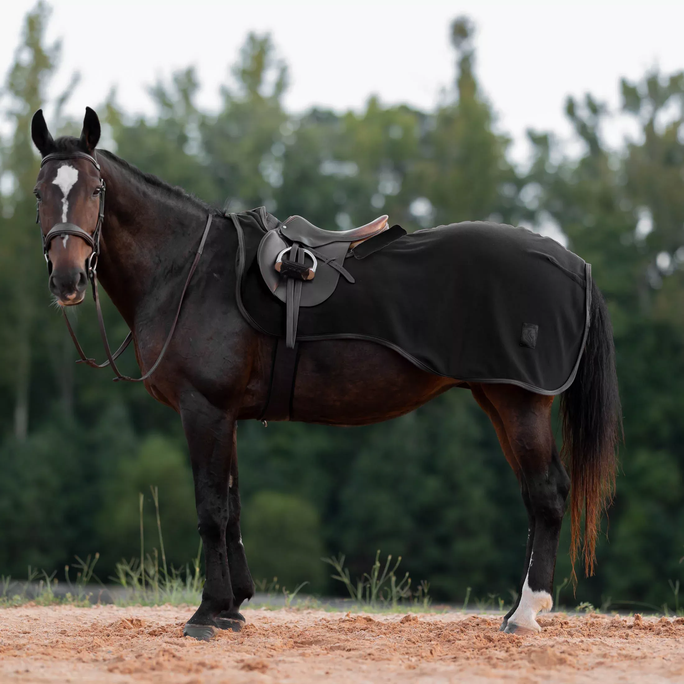Equinavia Koselig Fleece Quarter Sheet - Black