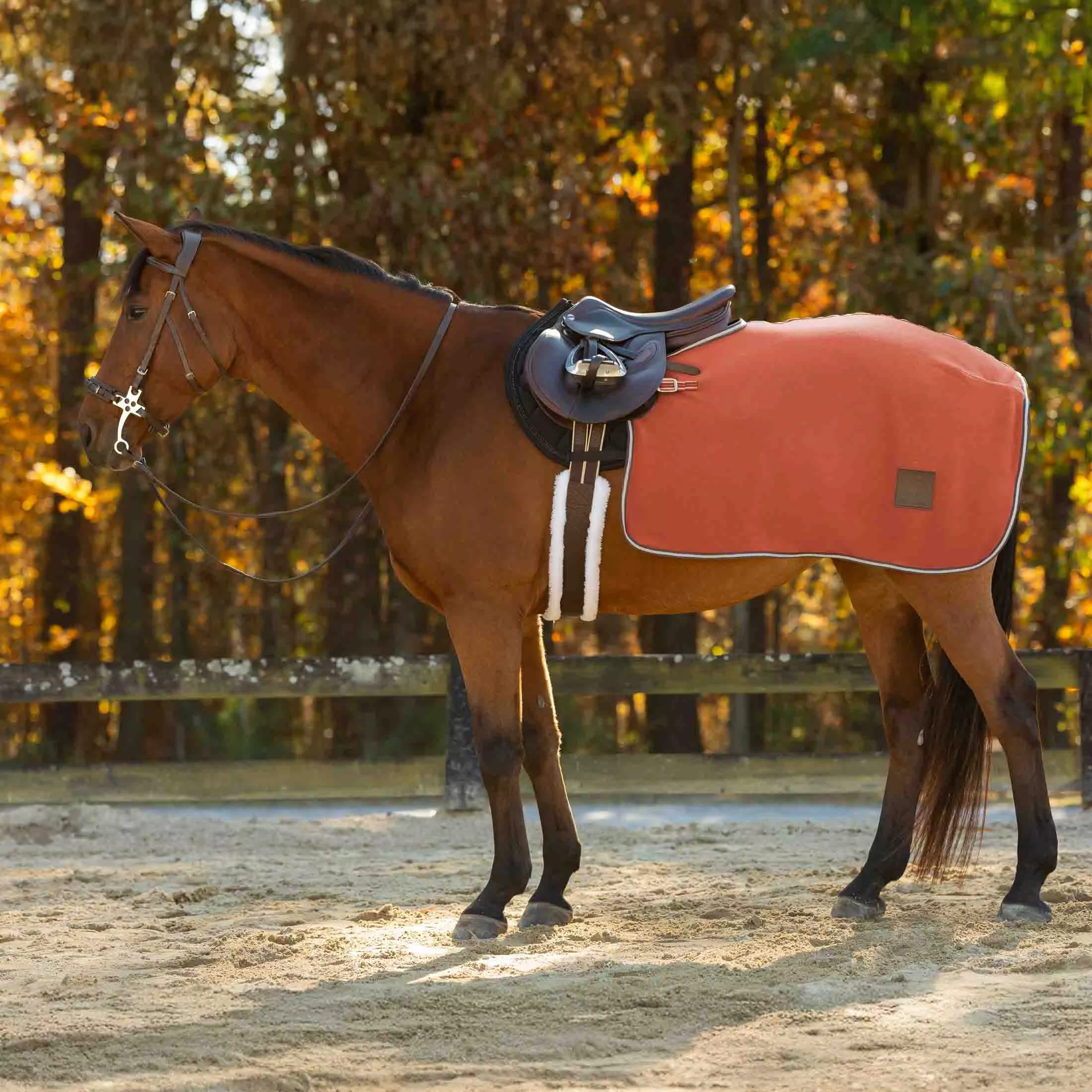 Equinavia Norse Fleece Exercise Quarter Sheet - Chili Oil Red