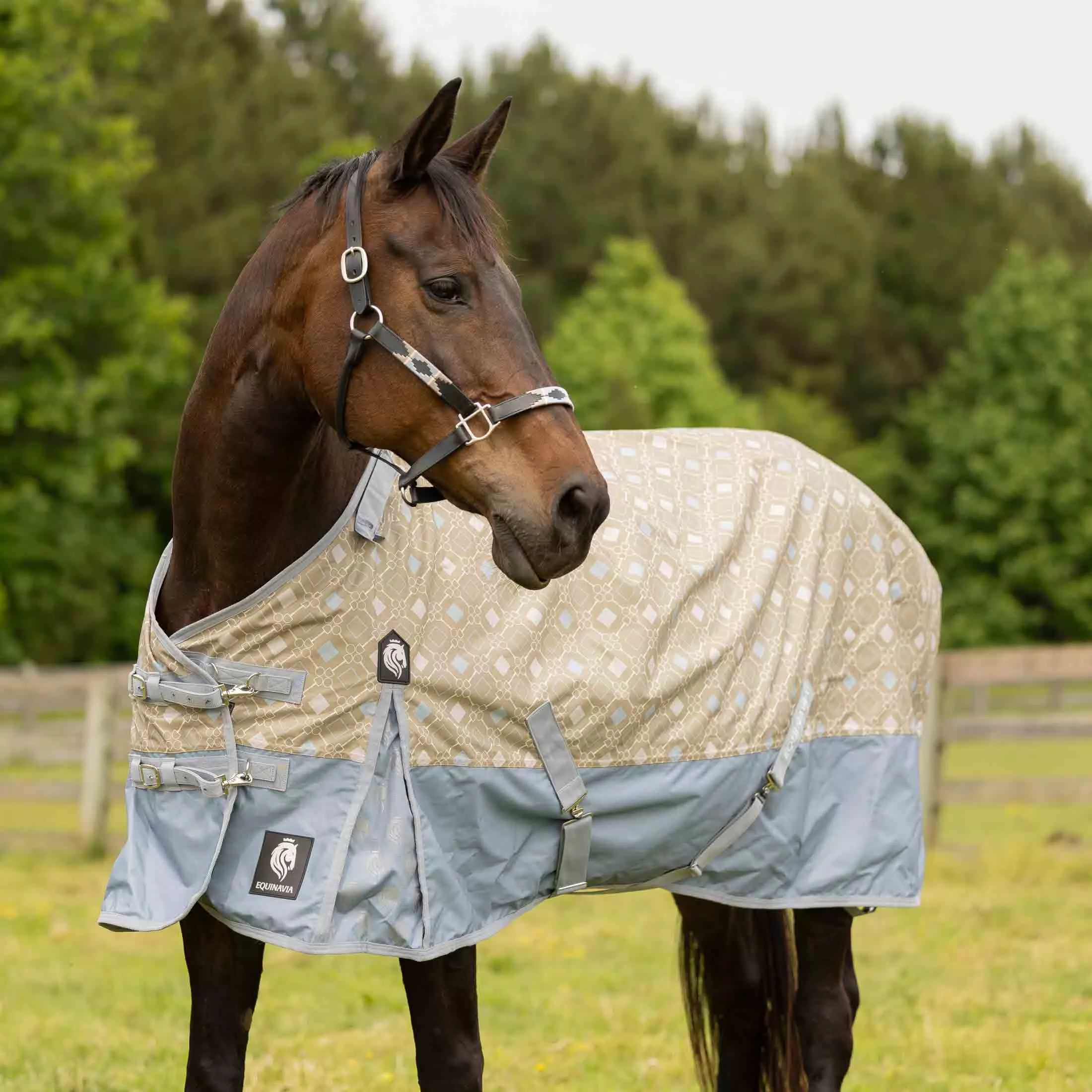 Equinavia Norse Turnout Sheet - Slate Gray/Light Olive