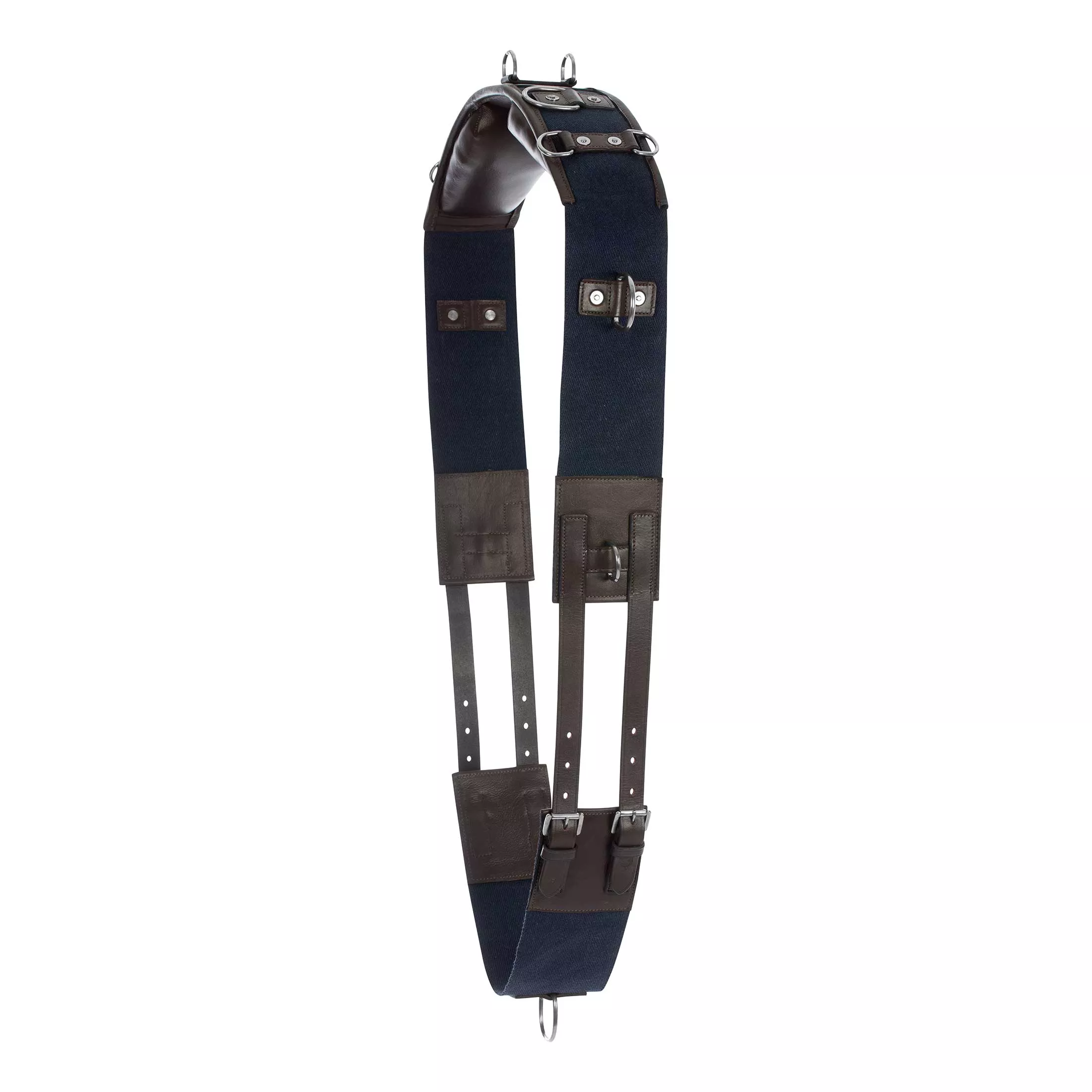 Equinavia Saga Lunge Surcingle - Chocolate Brown/Navy