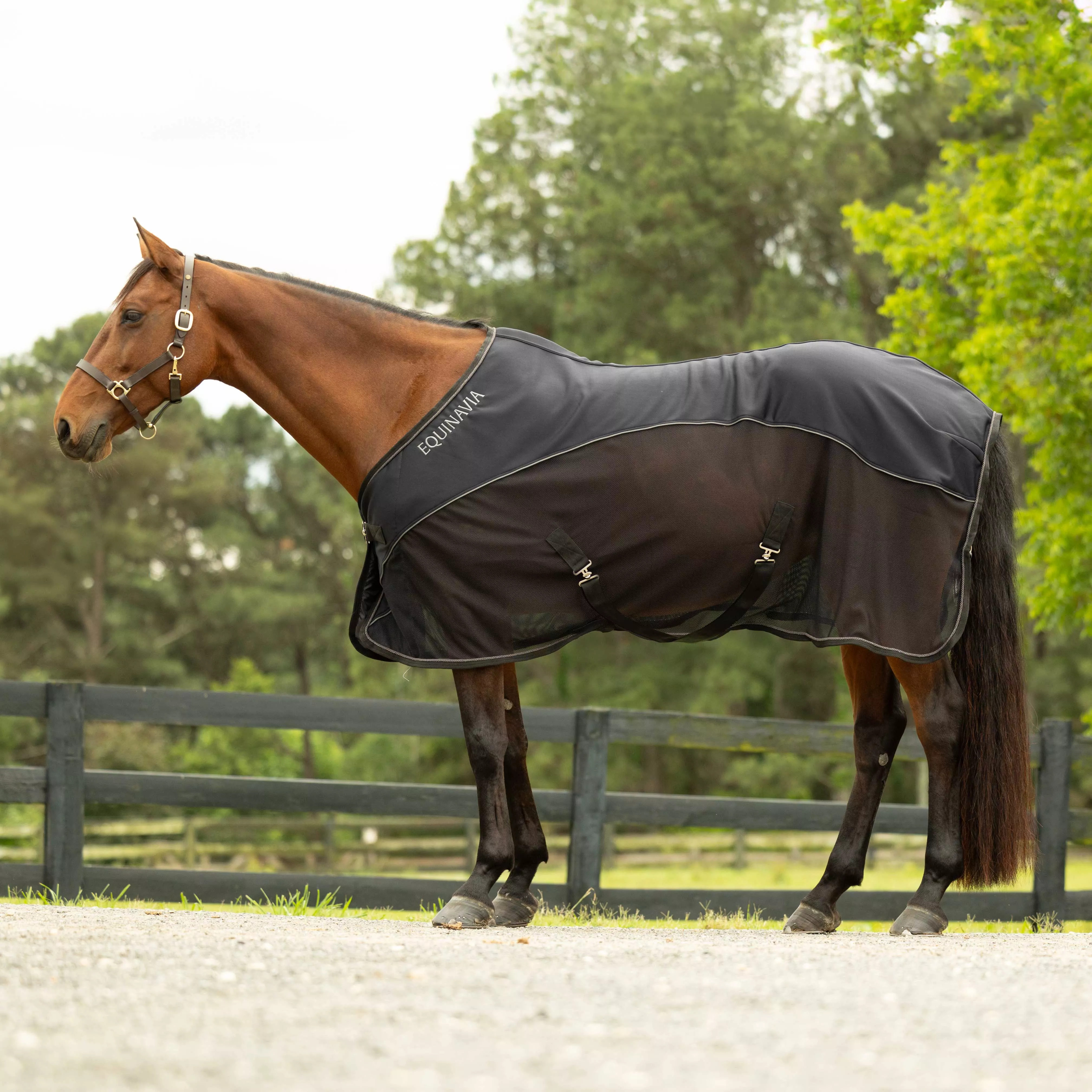 Equinavia Sommer Stable Sheet with NordicAir Tech - Black/Gray