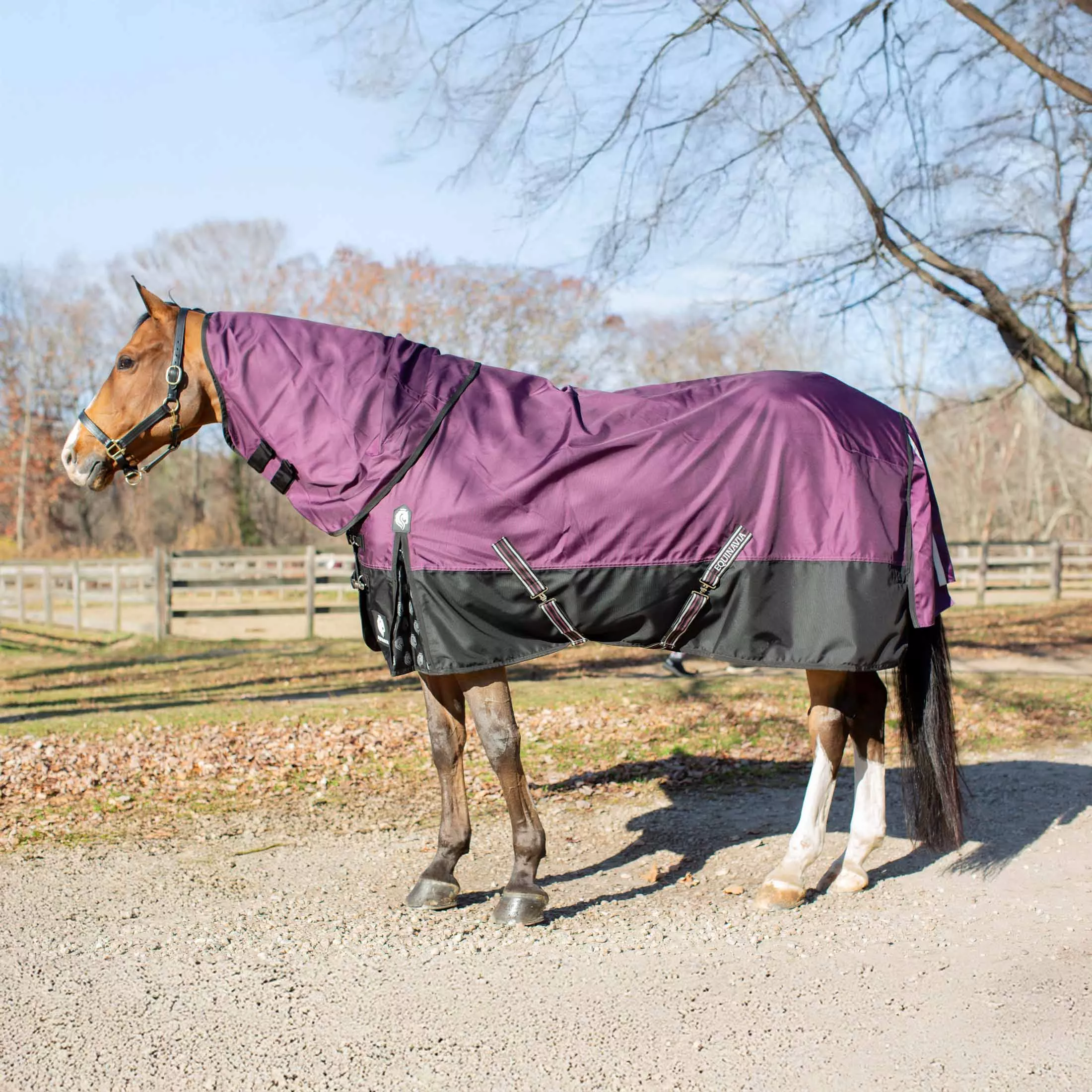Equinavia Thunder 360 Detachable Neck Turnout Sheet - Plum Wine