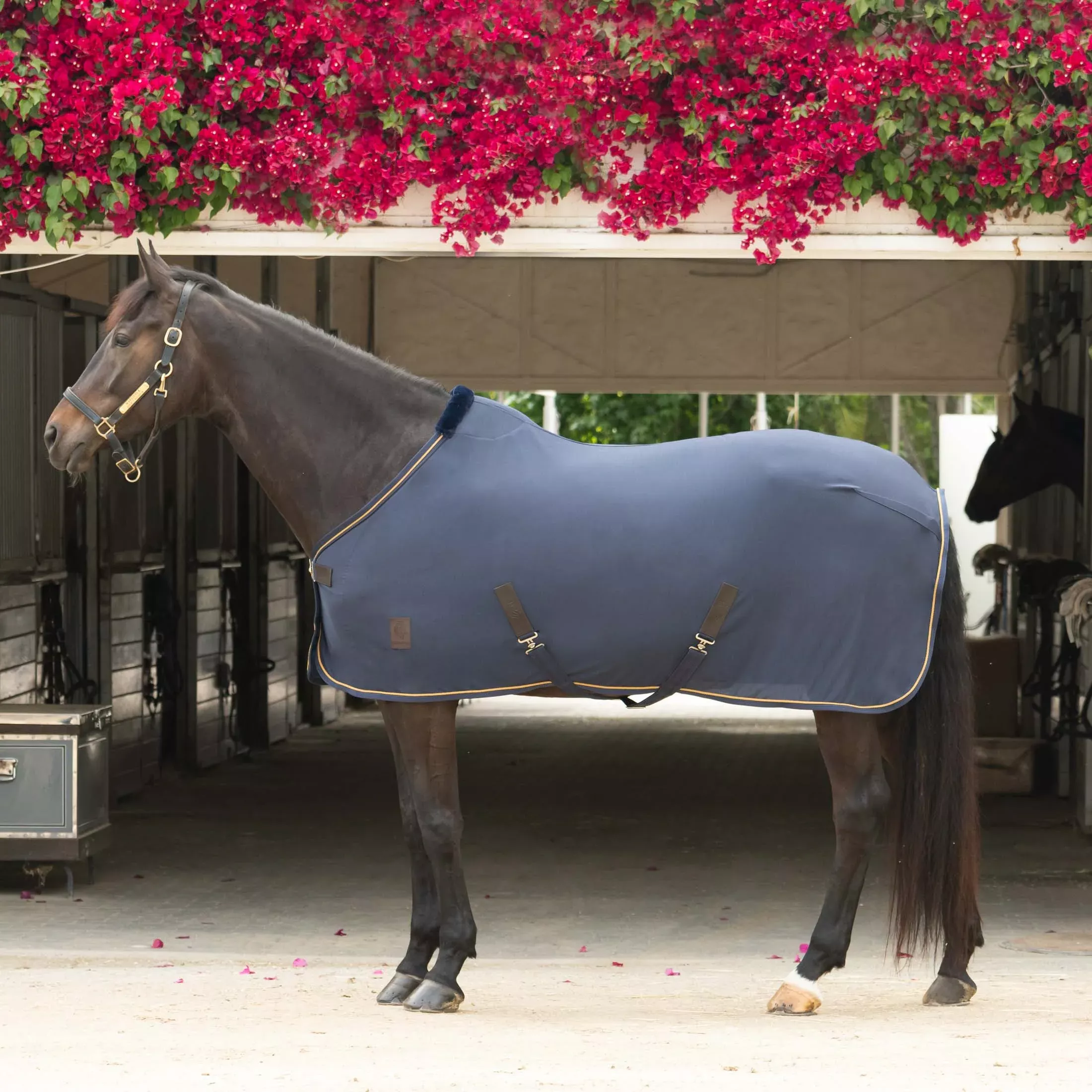 Equinavia Torr Quick Dry Cooler - Navy