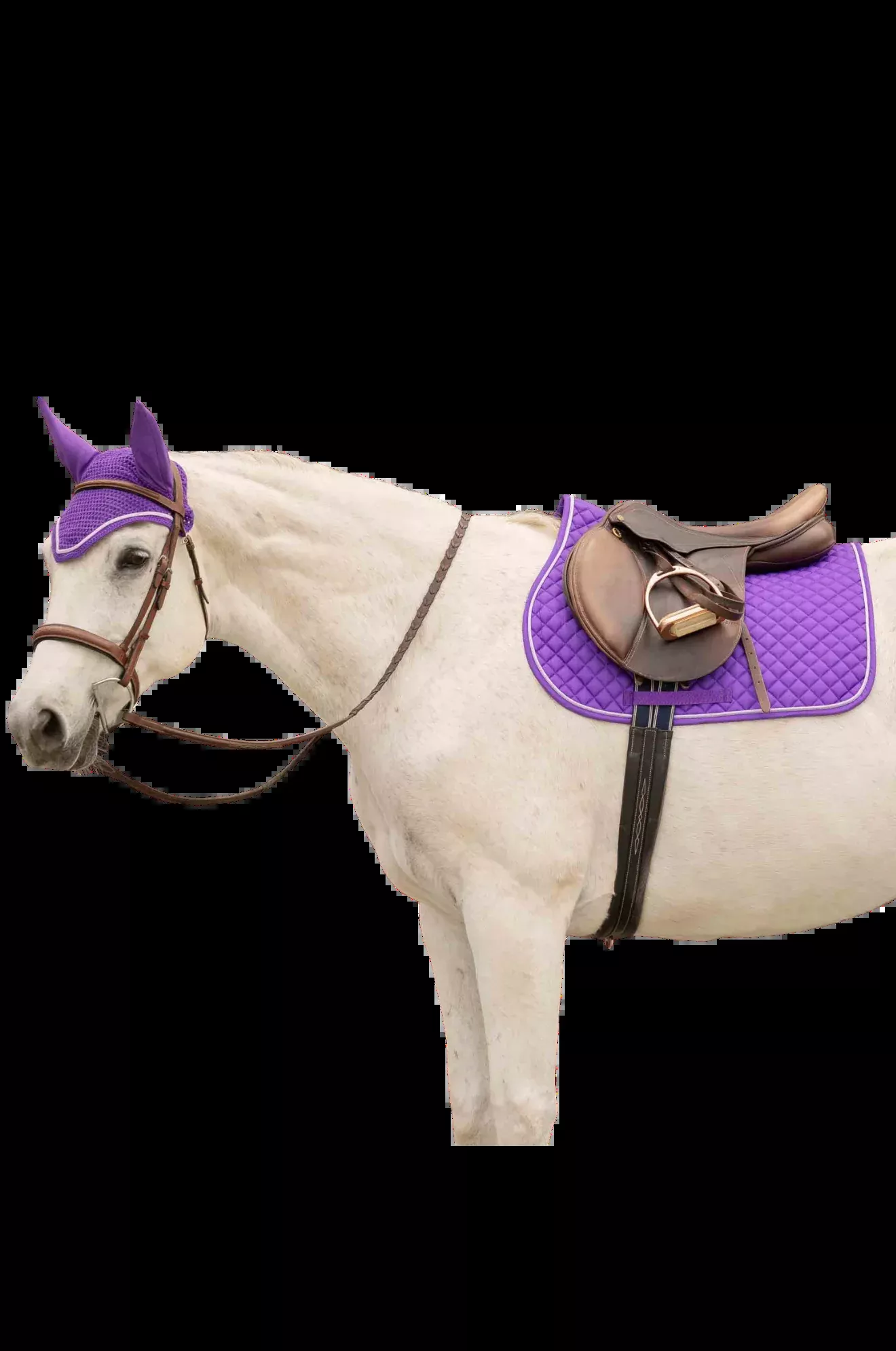 Equinavia Voss Saddle Pad/Bonnet Set-2026