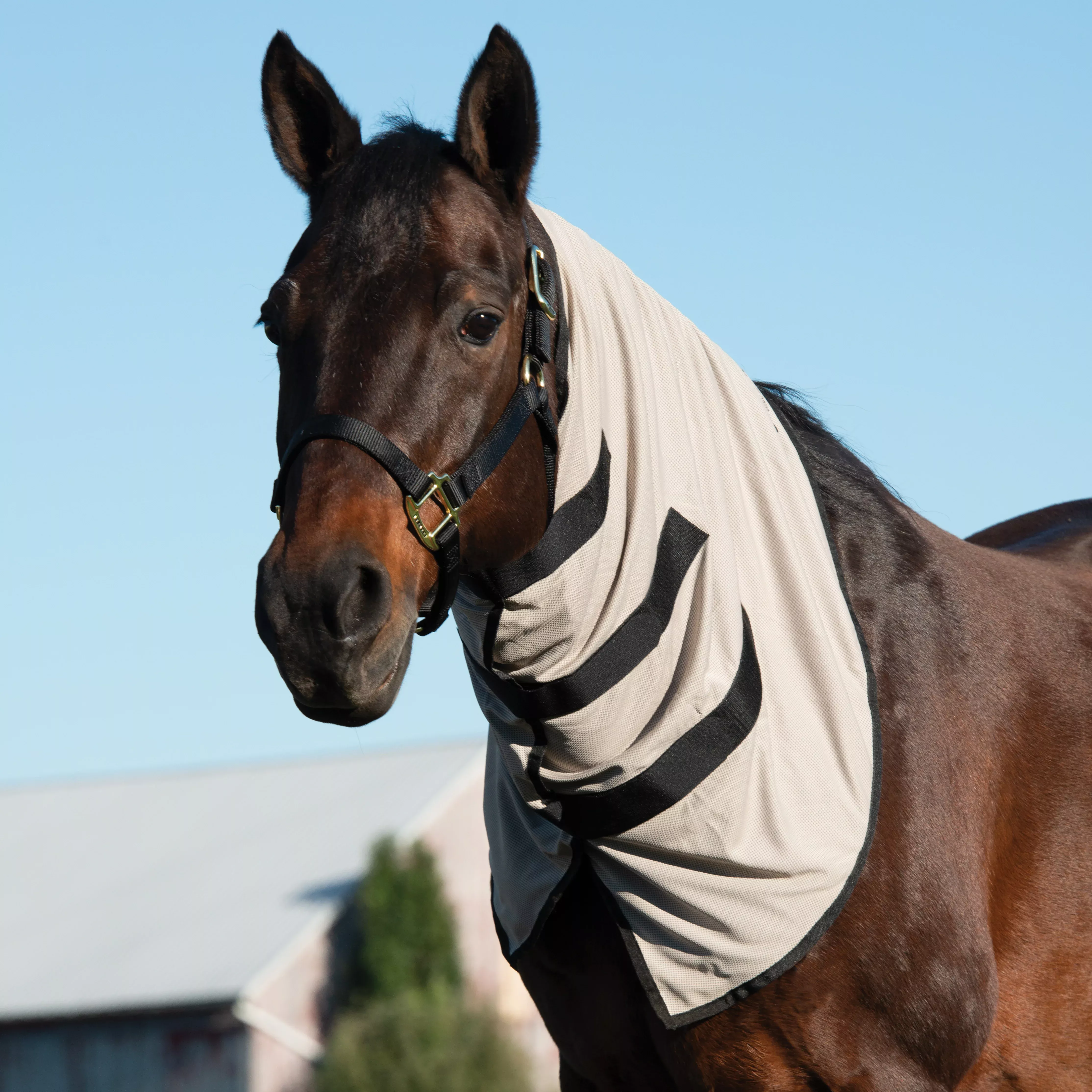 Equine Cooling Neck Wraps Powered by Coolcore