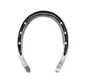 Equine Full Swedge Pony #9 - P
