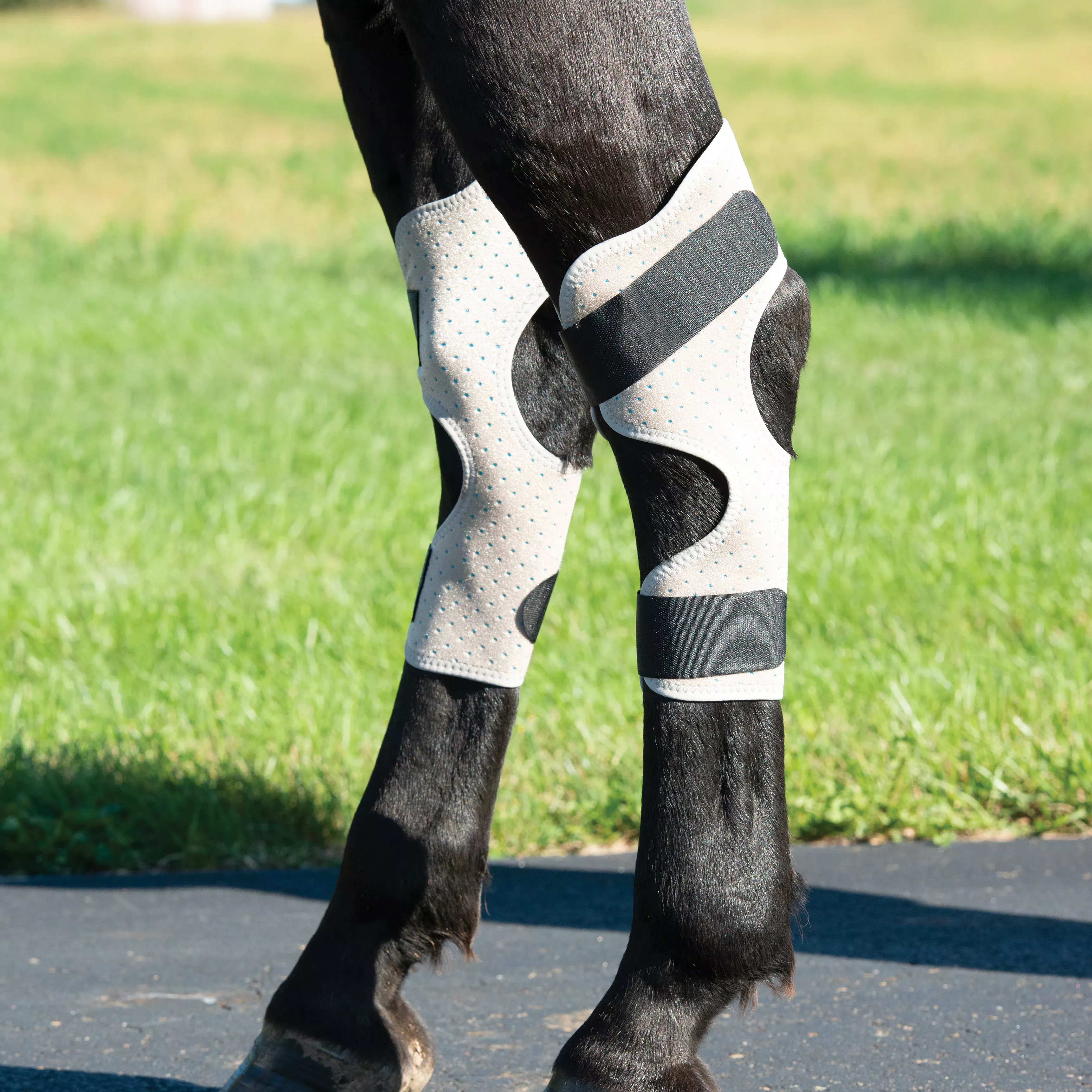 Equine Icing & Cooling Hock Wraps Powered by Coolcore