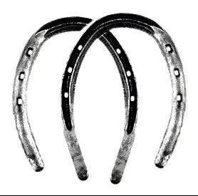 Equine Light Half Swedge #1 - P