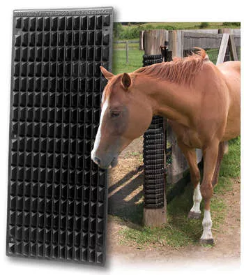 Equine Scratcher
