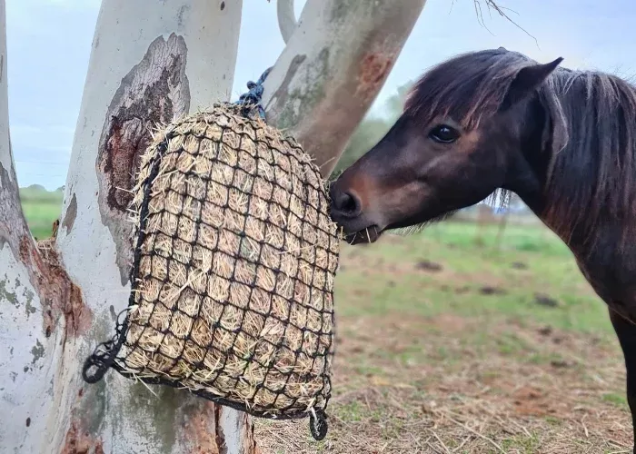 Extra Small Knotted Slow Feed Hay Net
