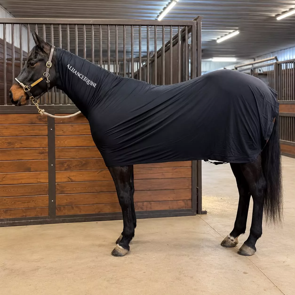 Faceless Full-Body Slinky