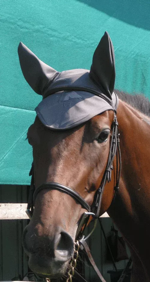 Fenwick LT (Liquid Titanium) ear bonnet