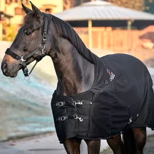 FIR-Tech Therapeutic Rug