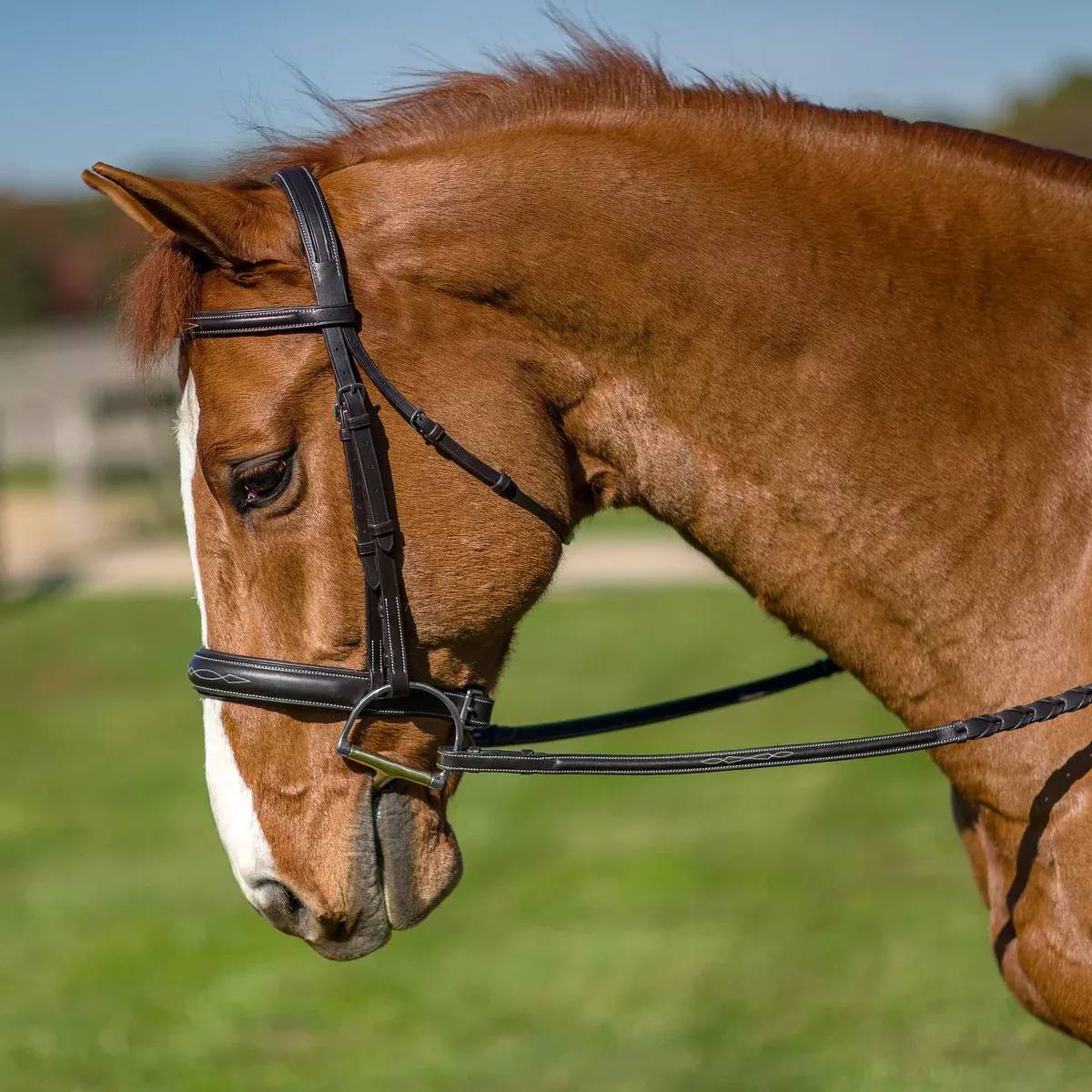 Flex Rider Elegance Fancy Stitched Hunter Snaffle Bridle
