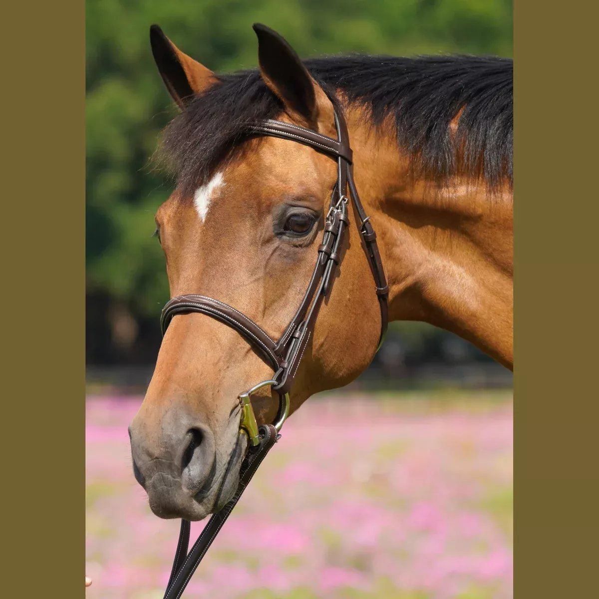 Flex Rider Fancy Stitched Raised Snaffle Hunter Bridle