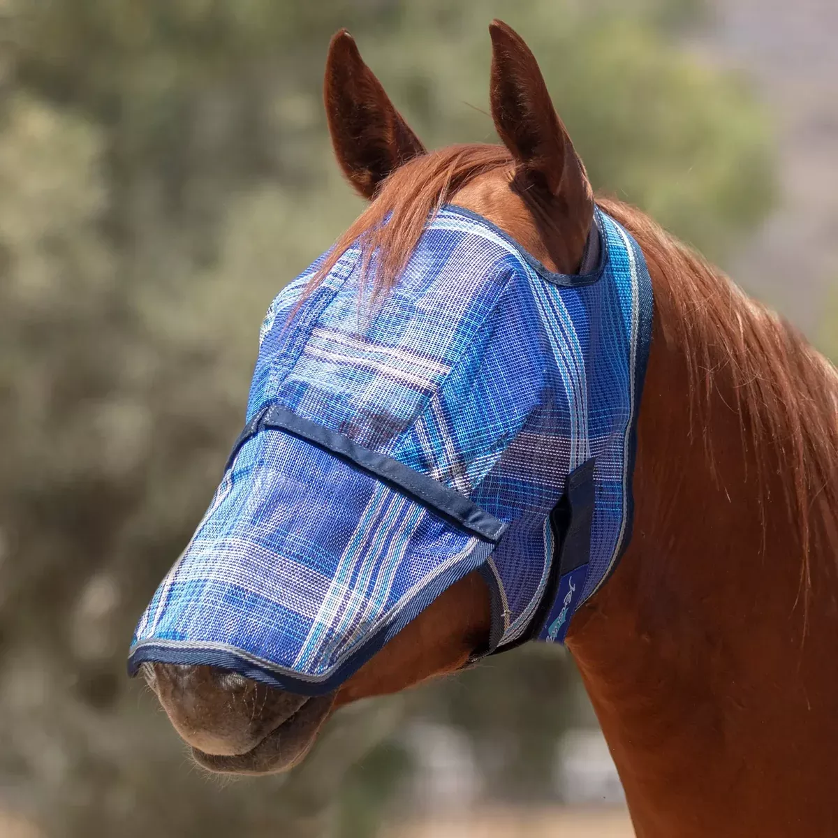 Fly Mask with Nose & 73% UV Protection - Open Top Design