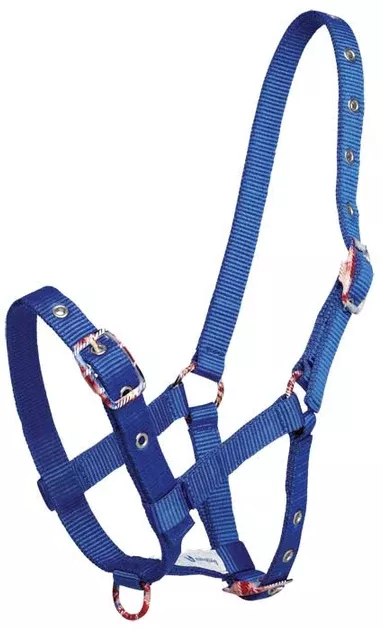 Foal Halter (Fancy Buckle)