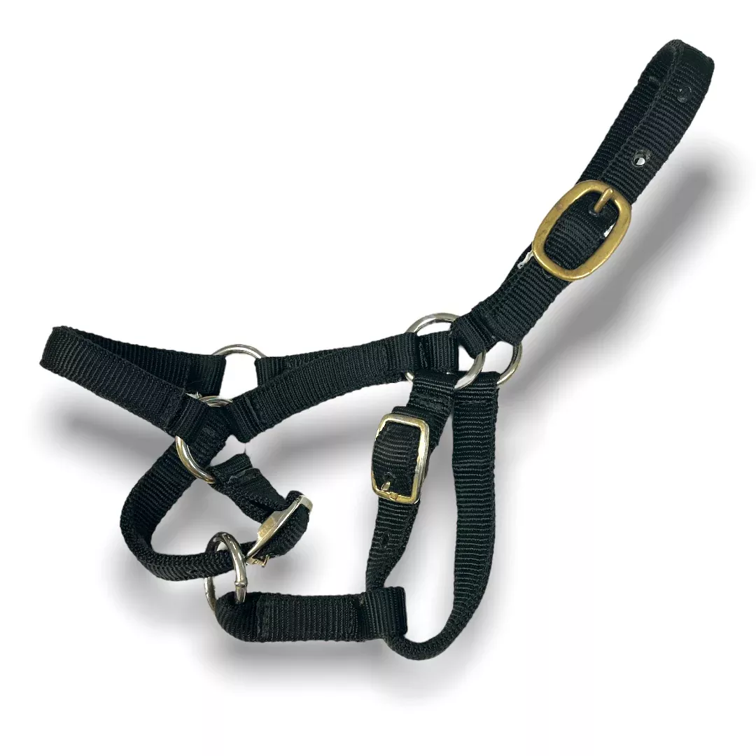 Foal/Mini Halter