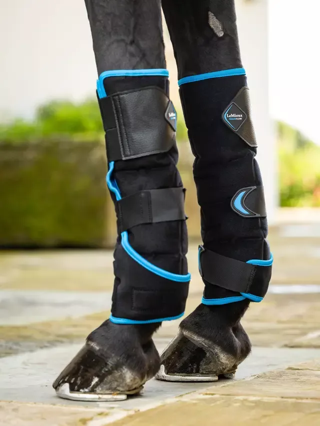 Freeze Flow Ice Boots