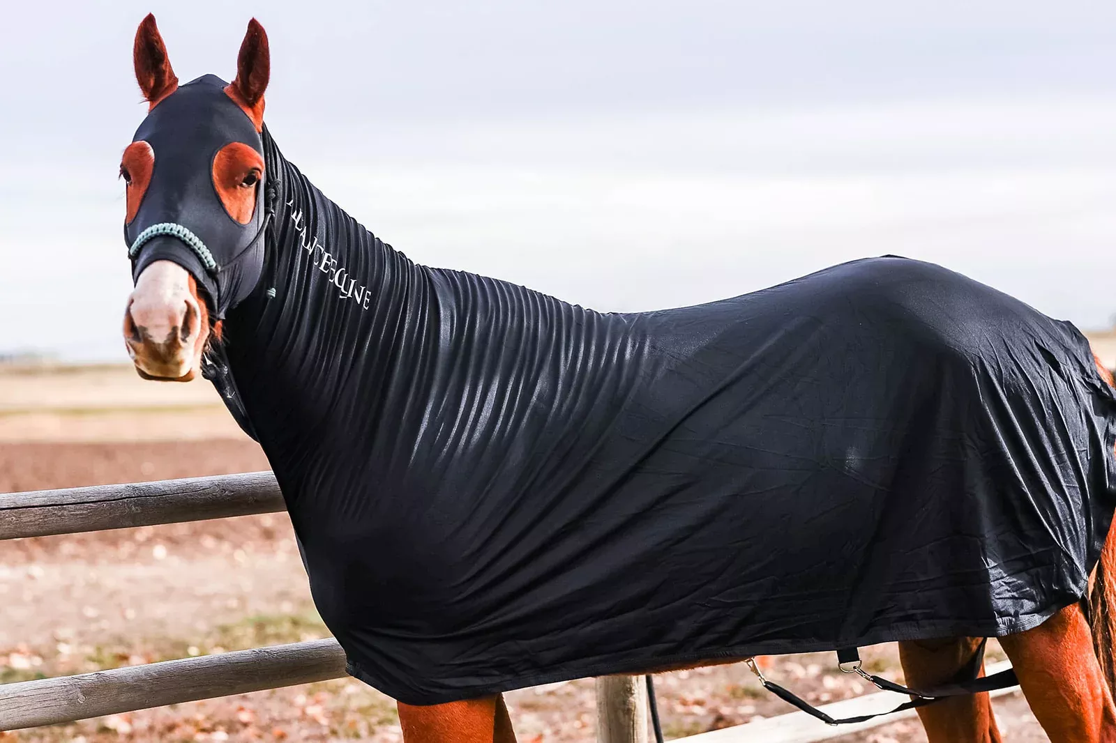 Full-Body Slinky