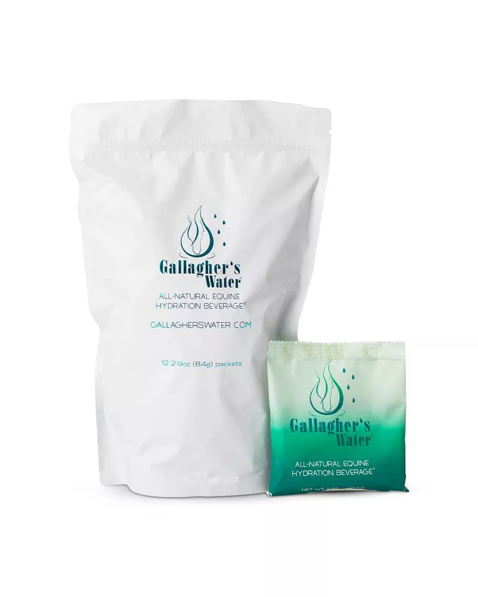 GALLAGHER'S WATER 12 PACK ORIGINAL