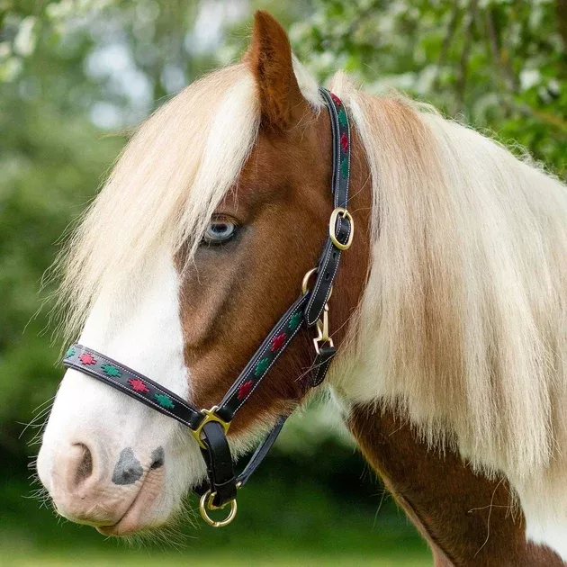 Gallop Diamond Padded Leather Headcollar