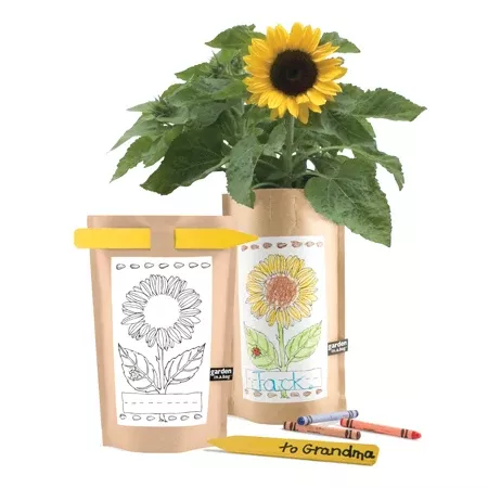 Garden-in-a-bag - Sunflower