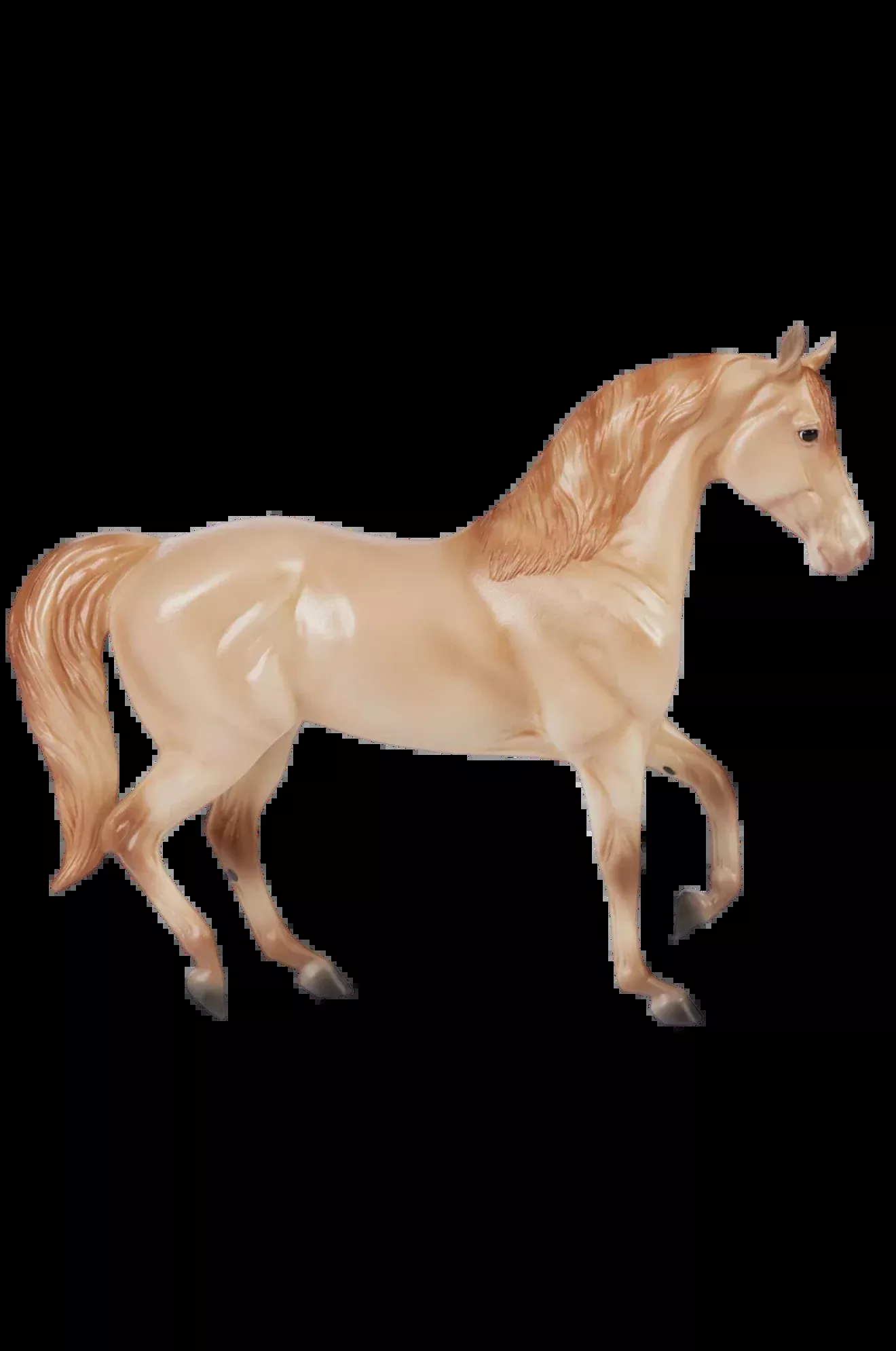 Gold Champagne Quarter Horse Cross