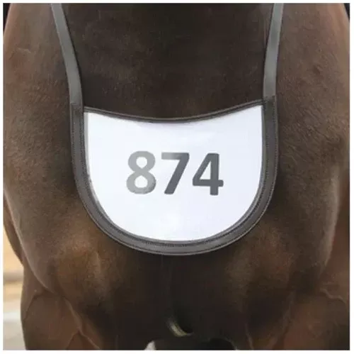 Grainge Elite Number Holder | Havana