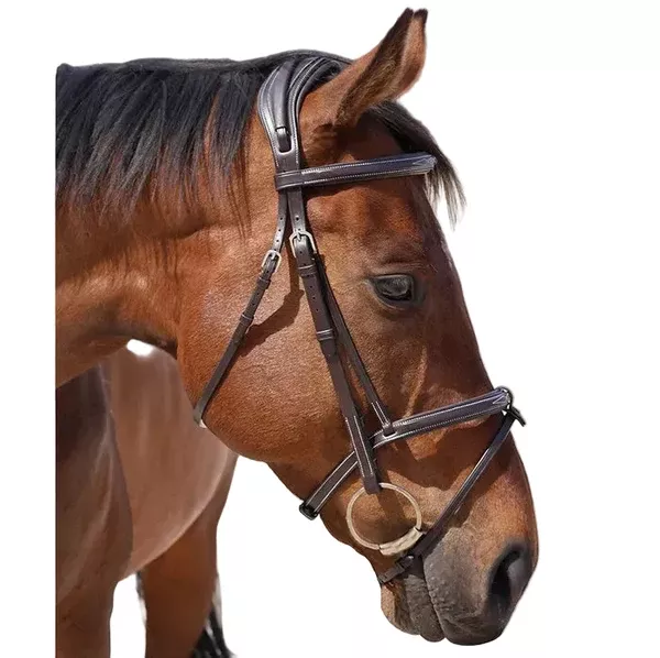 Grainge Fancy Bridle | Raised and Padded
